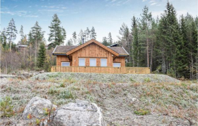 Amazing home in Vrådal w/ Sauna, WiFi and 3 Bedrooms